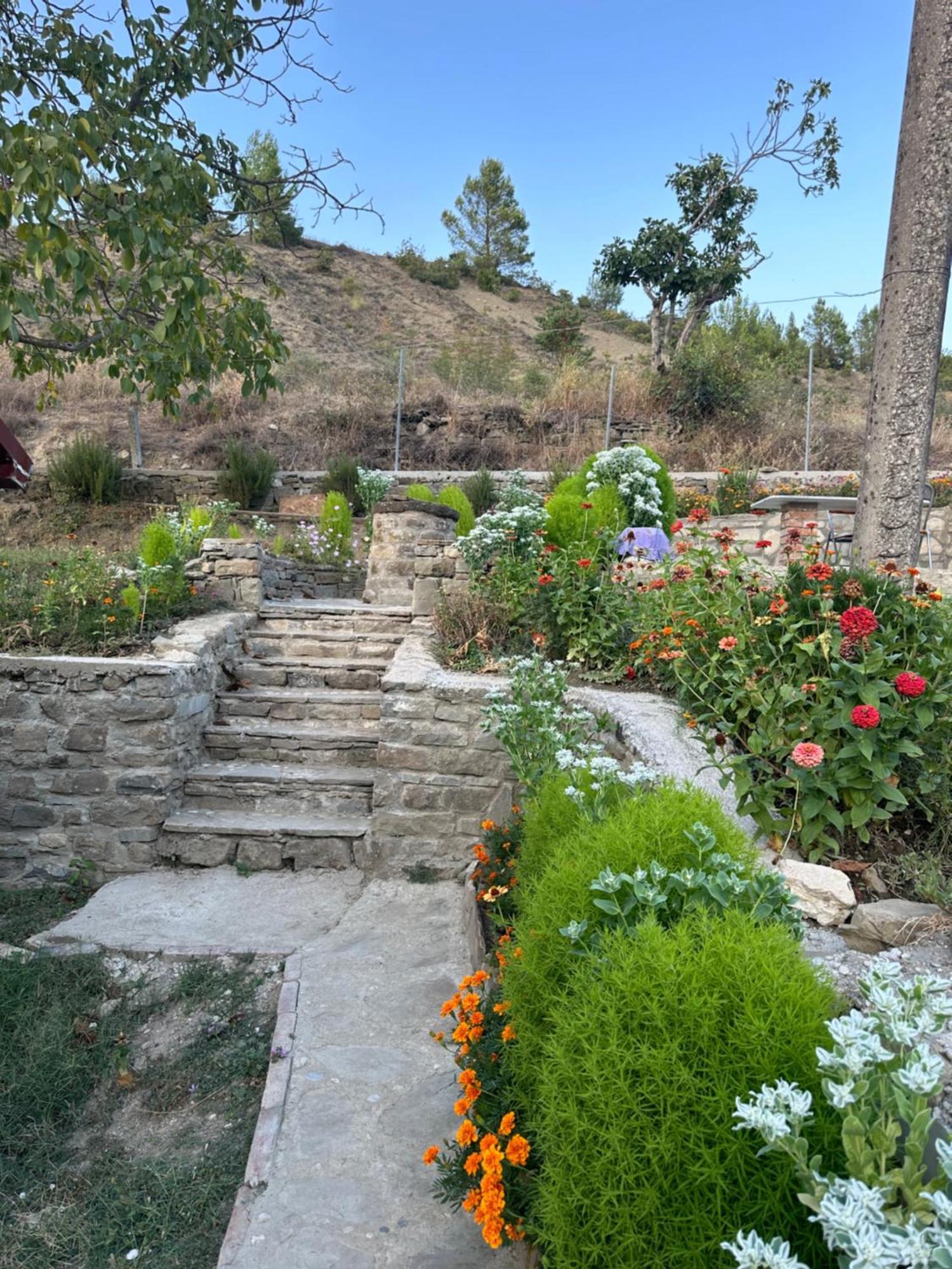 فيلا Stone House Kelcyre المظهر الخارجي الصورة