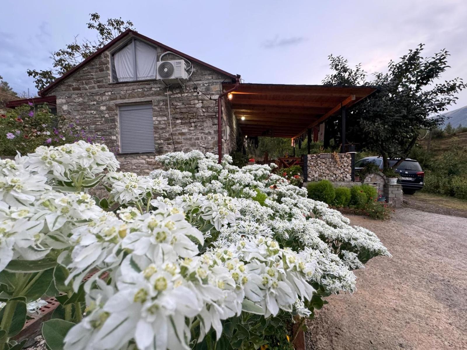 فيلا Stone House Kelcyre المظهر الخارجي الصورة